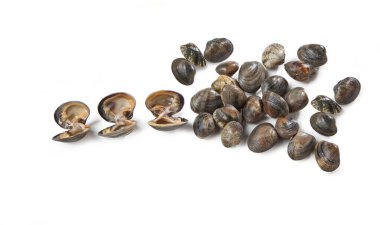 Çapraz kesilmiş halı kabuğu - Akdeniz balığı Vongole 