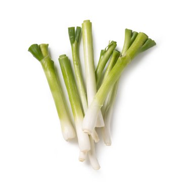 Soğan Kökleri, İtalyan 