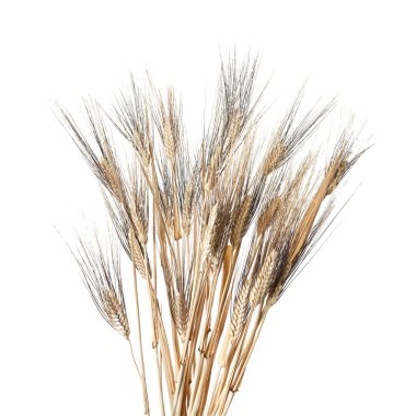 Beyaz arka plan üzerinde izole buğday