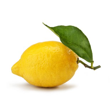 Siracusa limonu, Limone di Siracusa IGP, cultivar 
