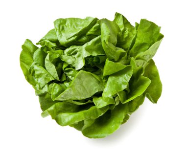 İtalya 'dan Trocadero Marul 