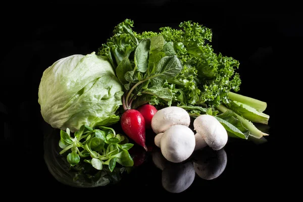 Salad element, Lettuce still life, Vegetable composition, Iceberg lettuce, Corn Salad, Radish, Endiva, Curly endive, Champignon mushrooms