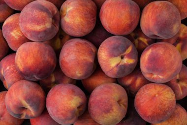 Peaches in Rows Geniş Sıralı Sarı Şeftali Grubu, Market Kutusu Meyve Arkaplanı Üst Hat Görünümünde Sipariş Verildi, Yukarıdan Detaylı Kapalı Macro