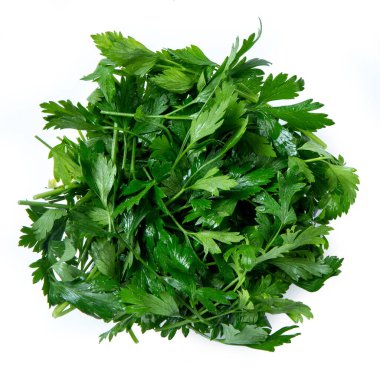 Maydanoz Maydanozu Bağlı, İpli, Yeşil Yapraklar Detaylı Beyaz Arkaplanda Yakından Macro İzole