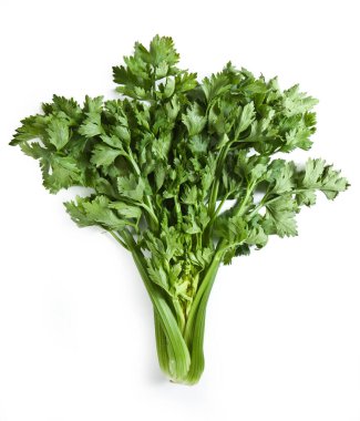 Taze Kereviz buharı yakın plan beyaz zemin üzerinde izole Sedano Apium mezarlıkları