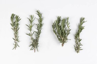 Rosemary - Dört Şube, Makro Yakından, Üst Görüş - Beyaz Arkaplanda İzole Edildi