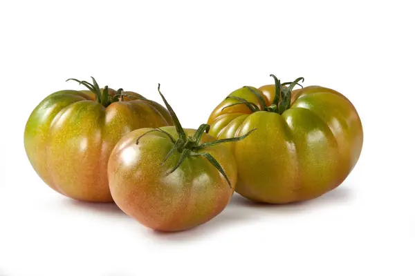 Green Tomatoes Italy Isolated White Background — Stock Photo, Image