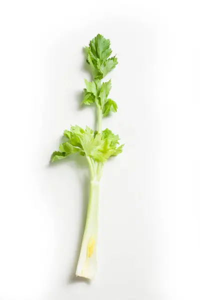 Celer Costa Sedano Izolovaný Bílém Pozadí — Stock fotografie