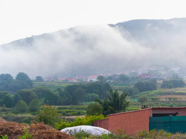 Kamp, Pontevedra, İspanya - 23 Ağustos 2023: Bir yaz günü sisle kaplı bir köy