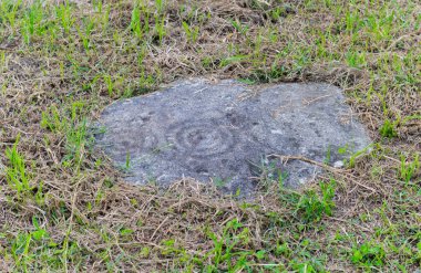 Kaya işlemeli bir taş. 