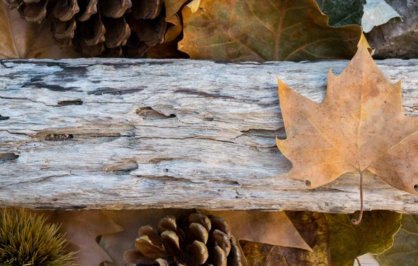 Bagajda boş alan ve kuru yapraklar var. 