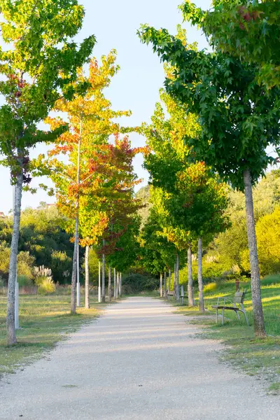 Lrez nehrinin yanında ağaçlarla yürüyün.