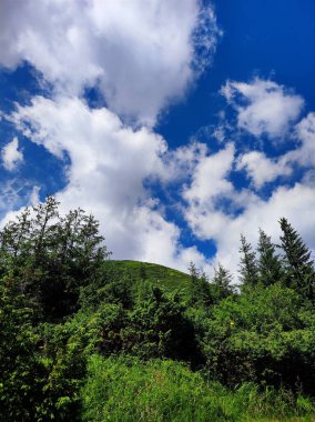 Ukrayna Karpatları, en yüksek nokta, Hoverla Dağı. Dağın eteklerinde