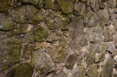 Yosun ve liken içeren taş duvar dokusu