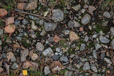 Arka plan taşlar ve çim.