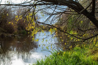 Parktaki nehrin güzel manzarası