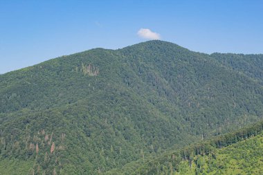 Dağlarda dağları olan güzel bir manzara.