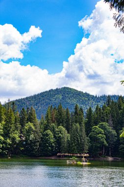 Yeşilliklerle çevrili güzel bir göl manzarası.