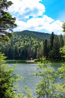 Ormanın arka planında güzel dağ gölü