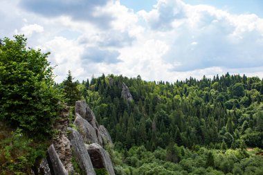 Saxon İsviçre 'ye bak