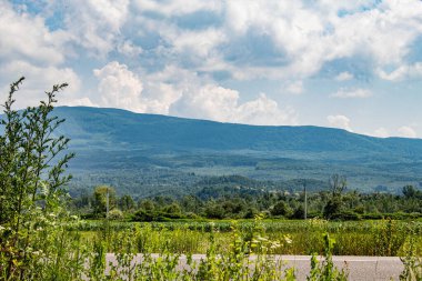 Yeşil çayır ve bulutlu mavi gökyüzü.