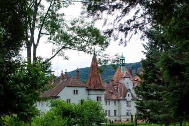 Bad Stein 'daki kale