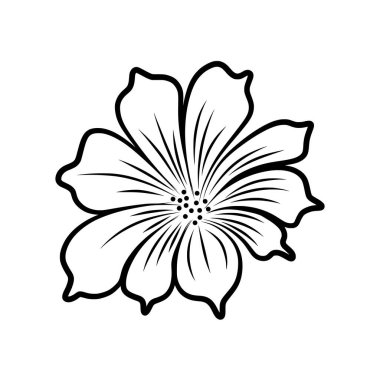 Kozmos çiçek çizgisi siyah çizim vektörü