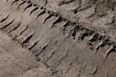 Toprak bir yoldaki araba izinin yakın çekimi. Lastik izleri. Doku.