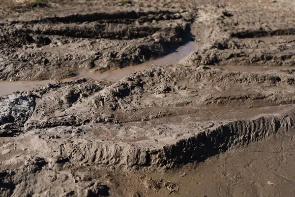 Yağmurla ıslanmış toprak bir yola yakın çekim. Off-road. Yağmur mevsimi.