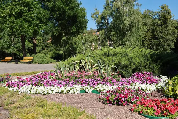 Ukrayna, Myrhorod 'daki tatil köyünde büyük renkli bir çiçek yatağı..