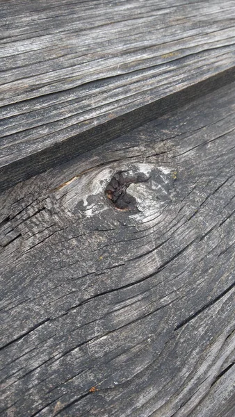  Gri eski ahşap arka plan