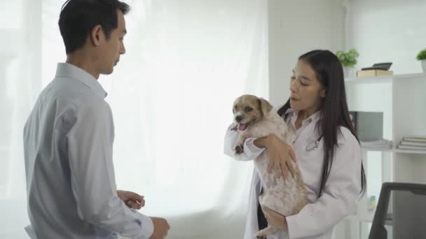Asiatico Veterinario Maschile Con Maschera Protettiva Assistente Femminile Cane Esaminatore — Video Stock