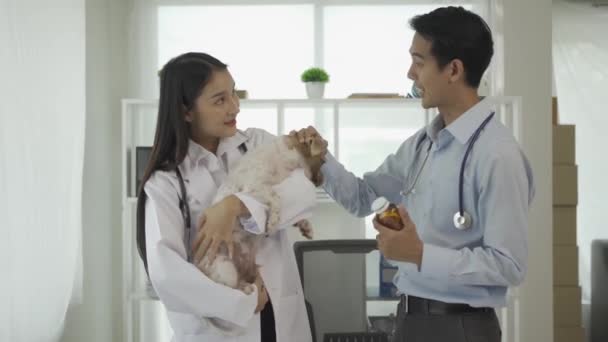 Asiático Veterinario Masculino Con Máscara Protectora Asistente Femenino Examinando Perro — Vídeos de Stock