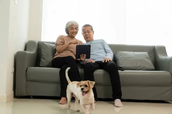 Glada Asiatiska Senior Par Sitter Soffan Vardagsrummet Begreppet Åldrande Samhälle — Stockfoto