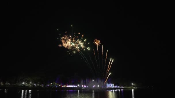 Coloridos Fuegos Artificiales Cielo Exhiben Por Noche Durante Las Fiestas — Vídeos de Stock