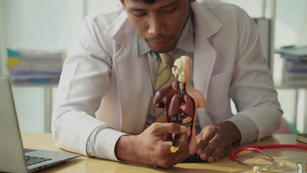 Afričtí Mužští Lékaři Pózují Interních Orgánových Anatomiích Model Lékařské Výchovy — Stock video