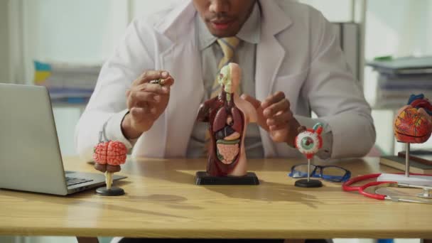 Afričtí Mužští Lékaři Pózují Interních Orgánových Anatomiích Model Lékařské Výchovy — Stock video