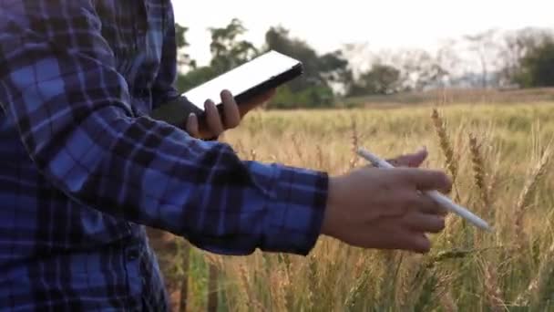 Joven Agricultor Asiático Inteligente Con Una Camisa Cuadros Trabaja Campo — Vídeos de Stock