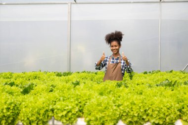 Mutlu genç kadın çiftçi taze yeşil meşe salatasını denetliyor. Organik hidrofonik sebzeler çiftlikte.