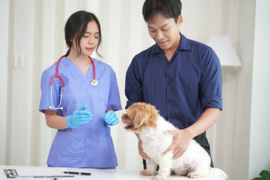 Veteriner Kliniği 2 'deki doktorlar Panshi Tzu' nun asistanı bir hastayla ilgilenirken bir köpeğin sağlığını inceliyorlardı. Veteriner Kliniği