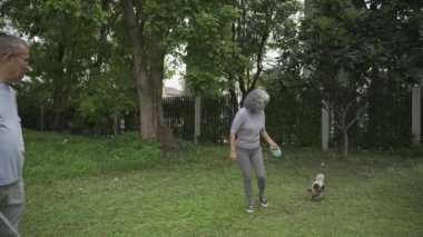 Kıdemli çift dışarıda köpekleriyle geziyor. Mutlu aile kamp yapıyor. Spor kıyafetli iki yetişkin parkta egzersiz yaptıktan sonra köpekleriyle birlikte..