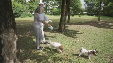 Parkta köpek gezdirme ve egzersiz yapan Asyalı yaşlı çift VDO Siow Hareketi