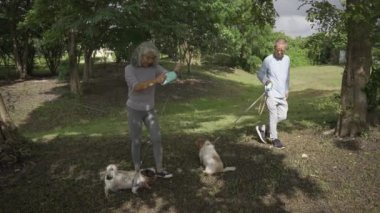 Parkta köpek gezdirme ve egzersiz yapan Asyalı yaşlı çift VDO Siow Hareketi