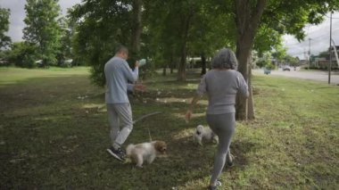 Parkta köpek gezdirme ve egzersiz yapan Asyalı yaşlı çift VDO Siow Hareketi