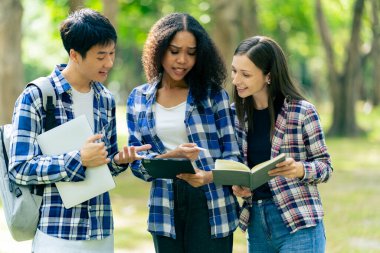 Bir grup Asyalı kız üniversite öğrencisi parkta birlikte konuşuyor ve çalışıyorlar..