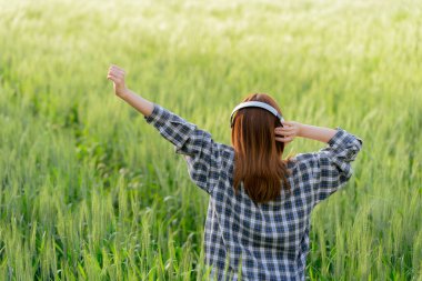Genç ve güzel Asyalı bir kadın sarı arpa tarlasında duruyor ve doğada yazın tadını çıkarıyor. Arpa tarlalarının güzel manzarasını görmek için, tek başına yaz seyahati fikri.