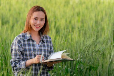 Genç bir Asyalı çiftçi hasat için arpa kalitesini kontrol etmek için bir defter taşıyor..