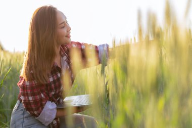 Buğday tarlasında buğday bitkilerini inceleyen Asyalı bir kadın tarım endüstrisinde mahsul toplamaya hazırlanıyor.