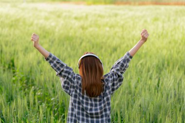 Pirinç tarlasında çalışan mutlu Asyalı kadın çiftçi kulaklık takarak buğday tarlasında koşuyor. Tarım ve hasat kavramı