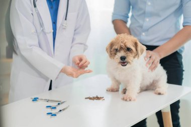 Üniformalı dost canlısı bir erkek veteriner, veteriner asistanı veteriner kliniğinde ona bakarken sevimli bir köpeği muayene eder..